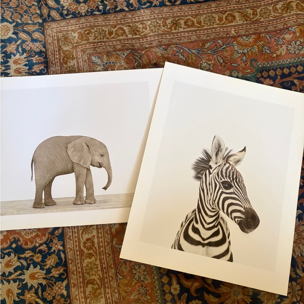 Two original prints by Sharon Montrose for The Animal Print Studio. 8.5 x 11
